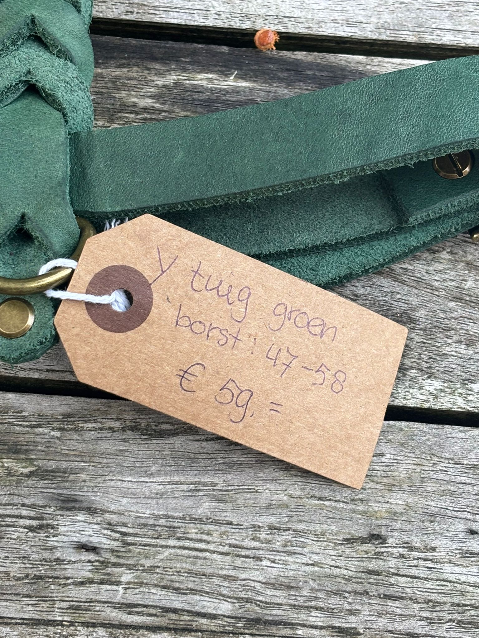 Lilypatch Forest Green thumbnail